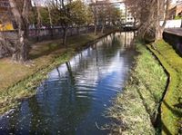 عبداللطيف الرشيدي