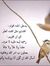 سعيد ال...
