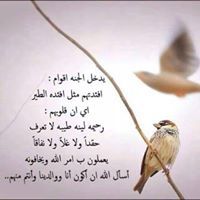 سعيد الرباطابي