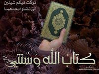 السيد فتوح