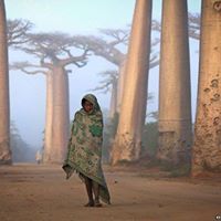 صفاء الطريفي