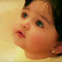 Malak Ayed