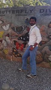 Vivek Sylvester