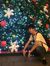 Alvin Alry