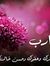 Njd Yousef