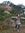Duong C...