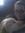 Maggie (thebookjockey) | 20 comments