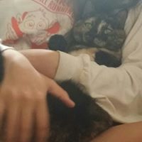 Maryann Tesauro mckeogh