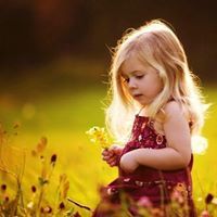 ملاك المدينه