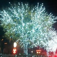 Selanie Allred-garett