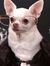 Jennife...