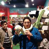 Mayank Mittal