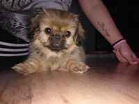 Мария Колева