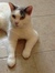 Frances