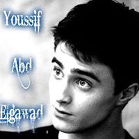 Youssif Elgawad
