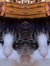 Jacob