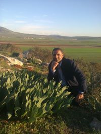 جوهر الميثلوني