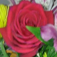 Eileen Oconnor perruso