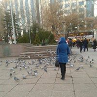 Wafa Zaj