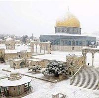 Muhanad Alnatsheh