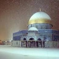 أسيل جرادات