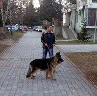 Дарко Начевски