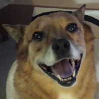 Janet Mclennan-pommer