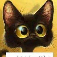 اليوم الموعود