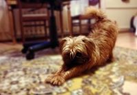 Вита Велицкая