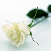 سمية خريسات