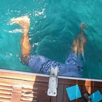 Dimitris Alexopoulos