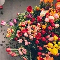 رامة الخياط