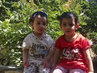 Mohammed Shamel