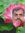 Kannan Ks