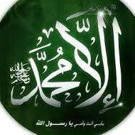 نذير سورجي