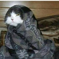 Tamara Asslan abdalla