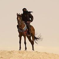 Wael Ahmed