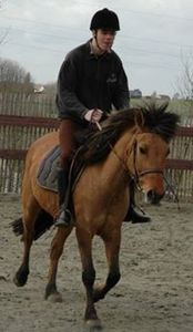 Hendrick Verplancken