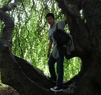 Daniel Zheng