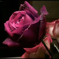 إبداع ابداع