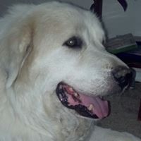 Miranda Christopherson