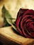 Shreya