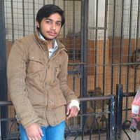 Shariq Jutt