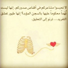 صمصمة ه.ه