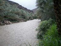 الشمالي الحوسني