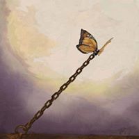 بهاء الخطيب