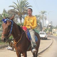 محمد الاسكندرانى