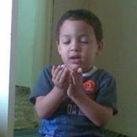 معالى السفير