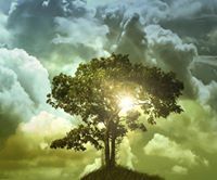 সাইফুল ইসলাম