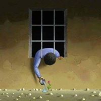 اسامه زكريا